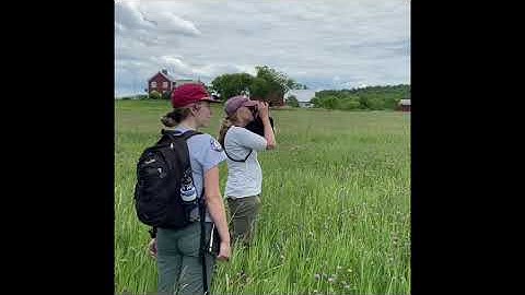 The Bobolink Project