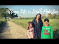 Village life in sindh pakistan  khairpur village