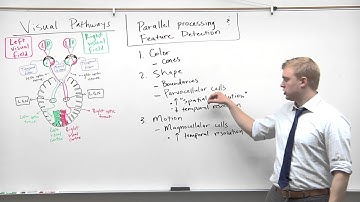 MCAT 2015 Psychology (14) - Feature Detection & Parallel Processing