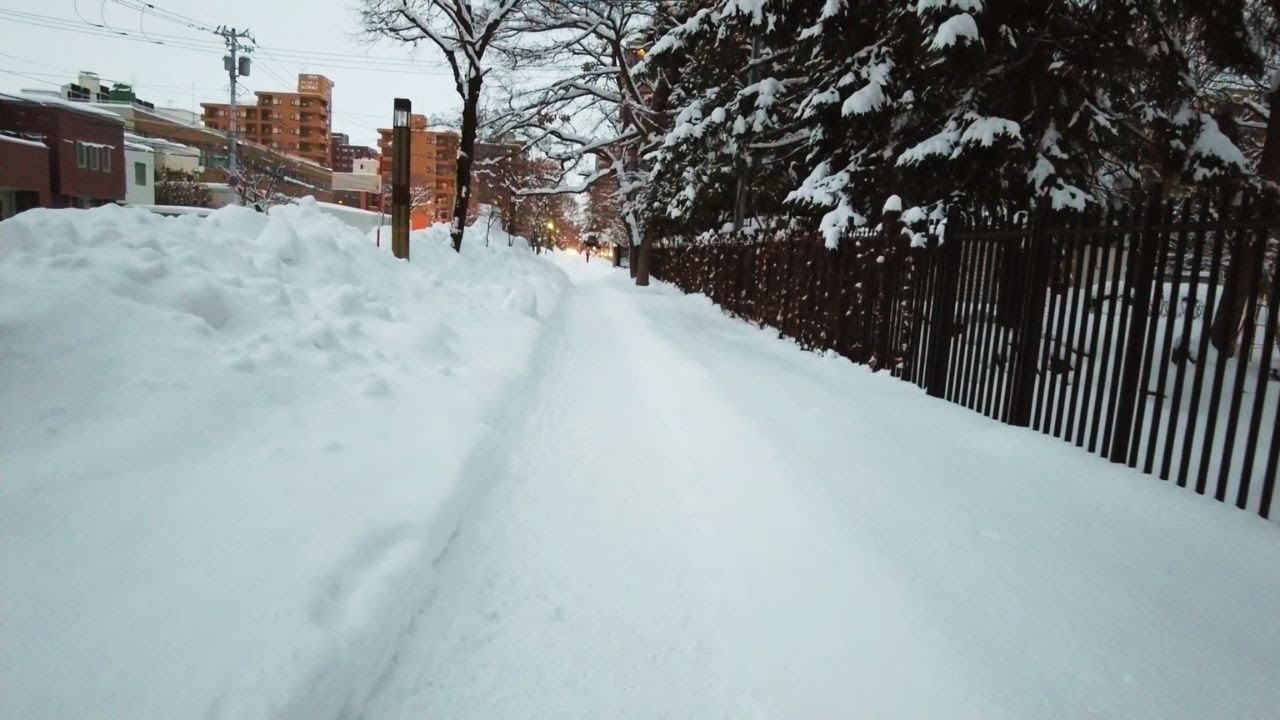 札幌の雪道を散歩（2024/1/14）