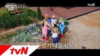 fooddiary 오마이걸 텐션업! 삼촌들도 텐션업!! 180725 EP.8