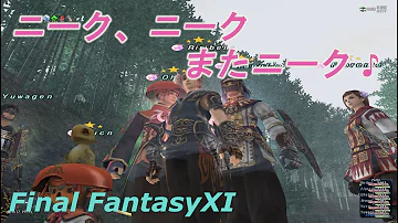 Ff11 ニーク ソロ Ff11 ニーク ソロ