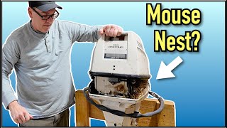 Trash or Treasure? Old Yamaha 9.9 4 Stroke Outboard Motor by Wayne The Boat Guy 3,609 views 2 months ago 19 minutes