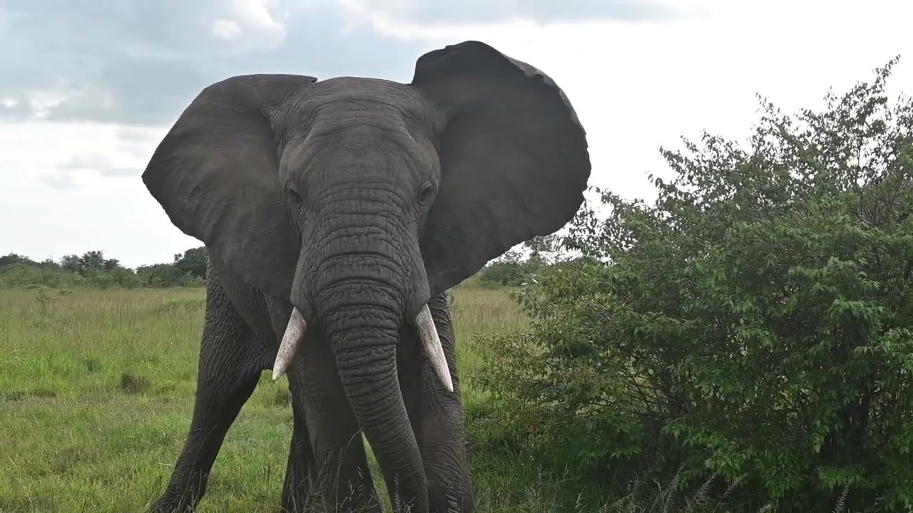 National Reserves in Kenya - Game Reserves in Kenya