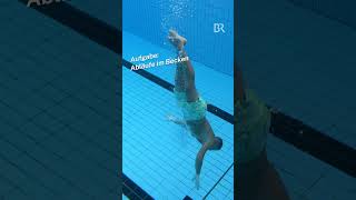 Jeden Tag Freibad Das Verdient Ein Bademeister Lsd