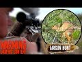 30cal airgun takes duiker and steenbok