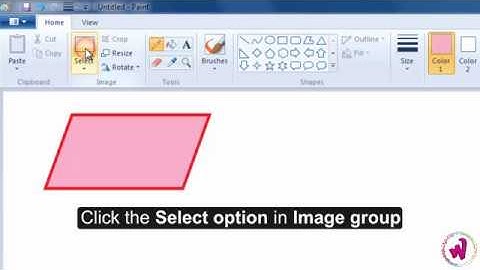 Class 3 | Ch 4 | Crop an Image in MS-Paint