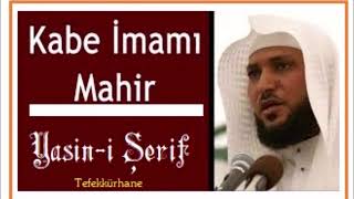 Kabe imamı Mahir Yasin-i Şerif - TEFEKKÜRHANE