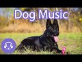 How to Relax My Dog: 12 Hours of Music to INSTANTLY Calm Your Dog! (2021!)