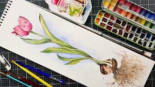 Deep thoughts While Painting a Tulip (Ink &amp; Wash real-time tutorial) Relaxing with Art