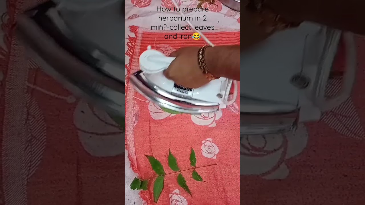 preparing herbarium..