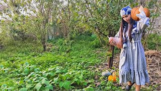 See How Pumpkin🎃 Turns Into a Amazing Pancake🥞|Village Cooking