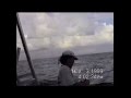 Ron herbert deep sea fishing caught 2 sailfish  2 tuna in 4 hours