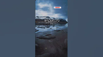 Awaken Your Heart With This Ayah آية توقظ القلب وتنير طريق يومك 
