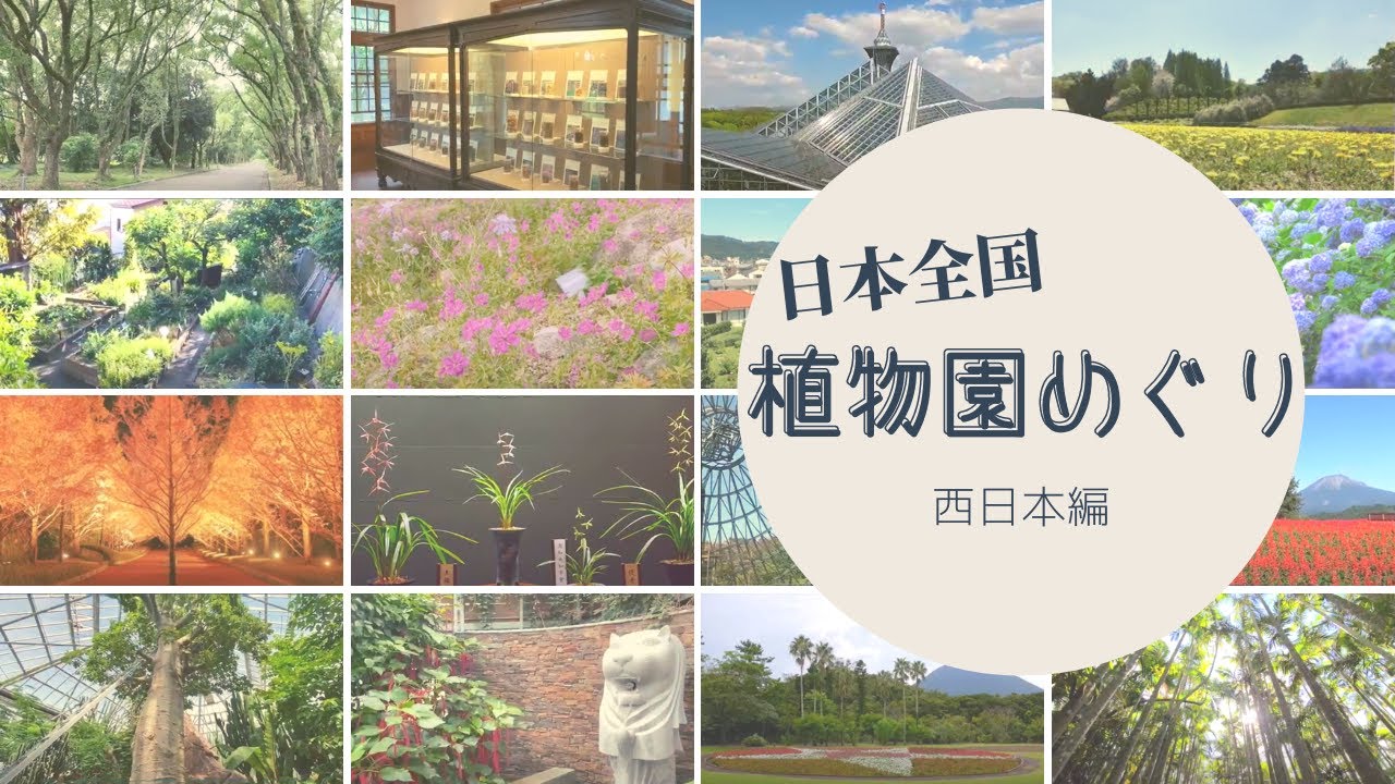 【ほっこり】植物園オンラインツアー「西日本編」#日本全国植物園めぐり #旅