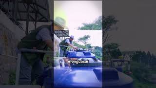 Seperti inilah cara pak Heru menjaga kebun stroberi ala sweetberry, dengan penuh kasih sayang!