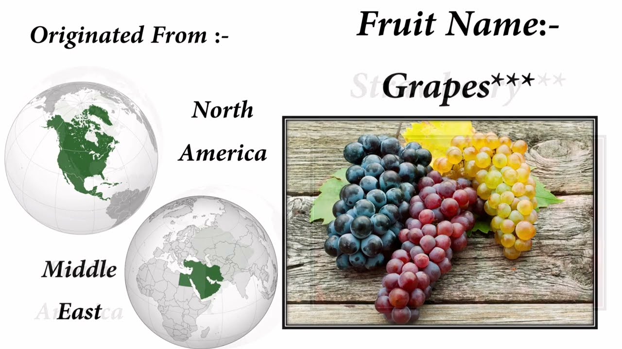Origins of Fruits | Fruit