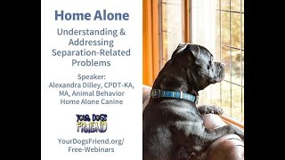 Home Alone – understanding and addressing separation related problems