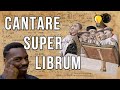 Cantare super librum