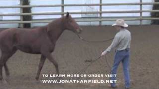 Helping a Herd Bound Horse with Jonathan Field