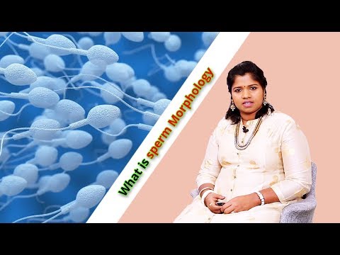 what-is-sperm-morphology-|-ethnic-health-care---dr.-b.yoga-vidhya-(2018)-english