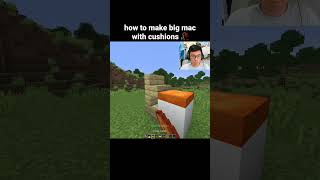 Minecraft Cushion Update Moment