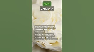 If MBTI Type Is A Flower, What Would It Be? PART 2