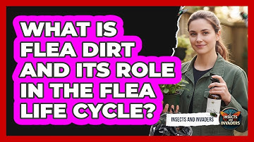 What Is Flea Dirt And Its Role In The Flea Life Cycle? - Insects and Invaders