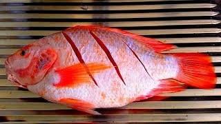 วิธีทำความสะอาดปลาทับทิม How to clean a whole Red Tilapia Fish / How to scale a Red Tilapia Fish