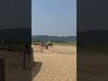 Tottori Sand Dunes - Oasis