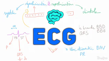 Quel est le but d'un ECG ?