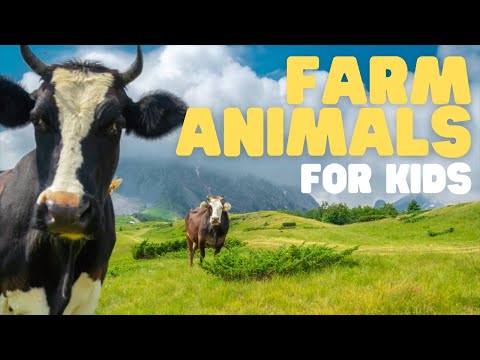 ⁣Farm Animals 101