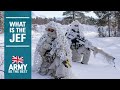 What is the Joint Expeditionary Force? | British Army