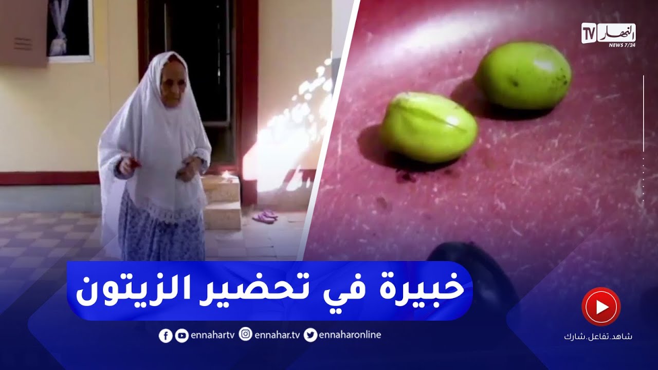 الشلف / خالتي عائشة  .. سنوات من الخبرة في تحضير الزيتون بطريقة تقليدية