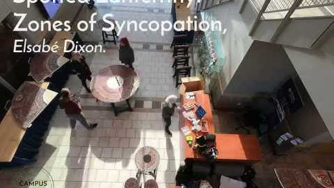 Spotted Lanternfly Zones of Syncopation (SFZ) installation by Elsabé Dixon