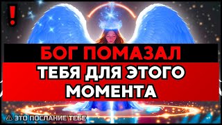картинка: ИЗБРАННЫЙ, БОГ СКАЗАЛ ВСЕ СРАЗУ СУМАСШЕДШИЕ – СДЕРЖИ СЕБЯ🙌