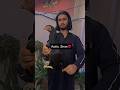 GOOD BYE❤️ ملکہ #viralvideo #foryou #trendingshorts #aseel #care #aseellovers #aseelmurga #birds