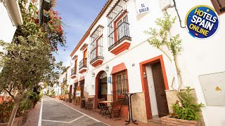 Hostal El Gallo Marbella, Spain Hotel Review