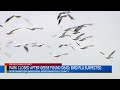 69 News afternoon NETCAST 2-20-26