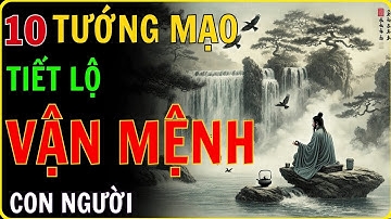 Tướng Tùy Tâm Sinh, Tướng Tùy Tâm Diệt- 10 Tướng Mạo Tiết Lộ Vận Mệnh Con Người  Và Bài Học Cuộc Đời