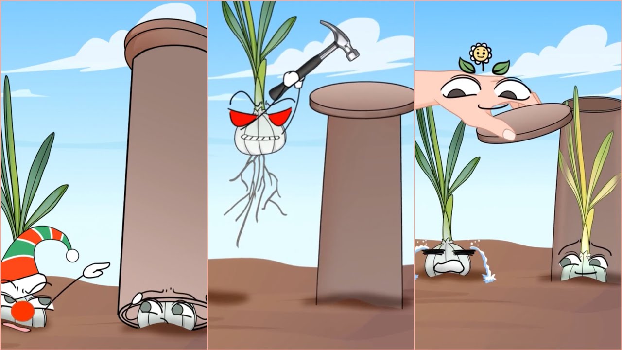 When garlic is capped, it will turn yellow. What’s going on?