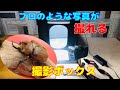 全然違う！！　プロのような写真が撮れる魔法のBOX