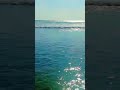 Blue Waves, Endless Peace