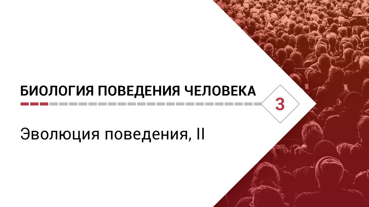 Биология поведения человека. Лекция #3. Эволюция поведения, II [Роберт Сапольски, 2010]