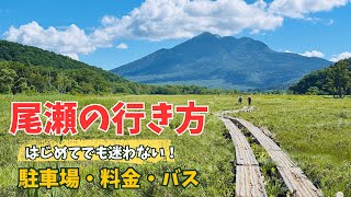 【尾瀬の行き方】戸倉駐車場から鳩待峠へ！初めてでも迷わない行き方を徹底解説:駐車場/料金/バス
