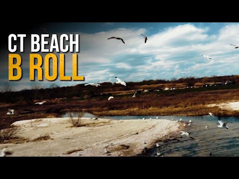 Beach B-Roll Footage | Day At Beach During Covid-19 Cinematic Handheld B-roll Video | CT Beaches