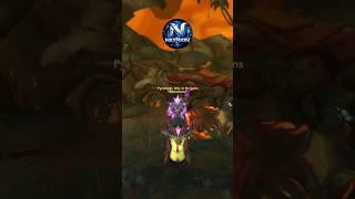 Untainted Grove Crawler Mount Guide — WoW Midnight