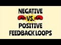 Homeostasis and Feedback Loops in Human Physiology