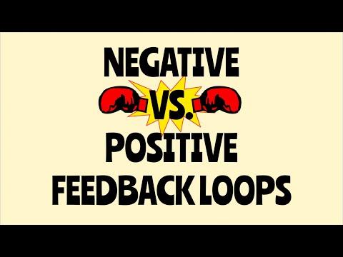 Video: Was meinst du mit positivem Feedback-Mechanismus?