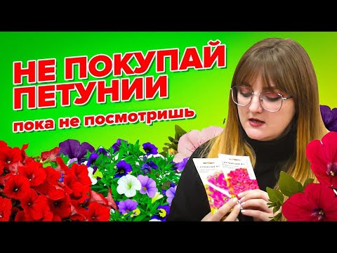 ВСЕ ЧТО НУЖНО ЗНАТЬ О ПЕТУНИЯХ! Подборка сортов, характеристика типов роста